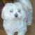Betty Storms's profile image