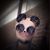 Abigail Josephine's profile image