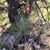 Nancy Blunck's profile image