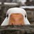 John Johnson's profile image