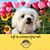 Peg Thoma Stevenson's profile image