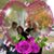 Diana Brown's profile image