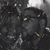 Karzell Robinson's profile image