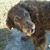 Jason Noll's profile image