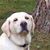 Sandy Nowell-Owens's profile image