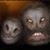 Harry Steinman's profile image