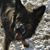 Tony McFee's profile image