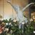 Karen Deblois's profile image