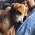 Laurel Geer's profile image