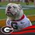 Steve Godfrey's profile image