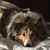 Liz Paoliello's profile image