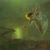 Anie Klapka's profile image