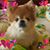 Clara Werner's profile image