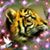 Mary Gomes's profile image