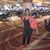 Rosalie Jones's profile image
