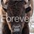 Scott J Plummer's profile image
