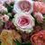 Alice Smith Meek's profile image