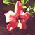 Rhonda Sims's profile image