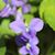 Karen Miller Rousseau's profile image