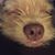 LeeAnn Medford's profile image