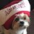 Karen Judd's profile image
