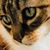 Jill Babiarz's profile image