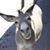 Joe Wells's profile image