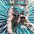 Shane Morris's profile image