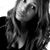 Rosetta Chmielewski's profile image
