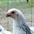 Mary Hunnicutt's profile image