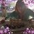 Sharon Anderson's profile image