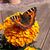 Karen DeSantis's profile image