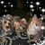 Michelle Ormsby Rendon's profile image
