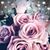Robin Chrystel Galletti's profile image