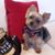 Joan OSullivan's profile image