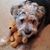 Karen Sayre Duggan's profile image