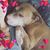 Kristina Rasmussen Young's profile image