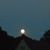 Hope Sibley Vollmer's profile image
