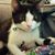 Megan McNaughton-Cox's profile image