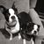 Kathy Fournaris Dannelly's profile image
