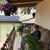 Van Vandergriff's profile image