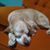 Louise Prescott's profile image