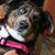 Paul Karen Landrum's profile image