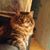 Malinda Cieslik's profile image