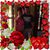 Amy Kaas's profile image