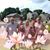 Anna Joanne Colvin's profile image