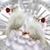 Tracy Ann Cooper's profile image