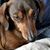 Shellie Washburn's profile image
