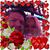 LeeAnn Lukaszewski-Davis's profile image