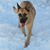 Staci Bollinger's profile image
